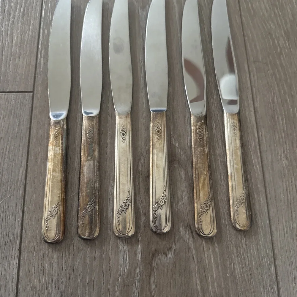 Oneida‎ Community QUEEN BESS II 6 Modern Solid Dinner Knives 9